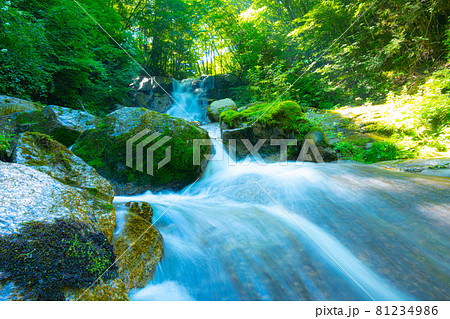 長野県平谷一の名瀑・しぶきを間近で感じられる平谷大滝 81234986