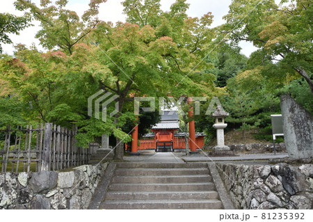 京都嵐山　天龍寺の総鎮守社 81235392