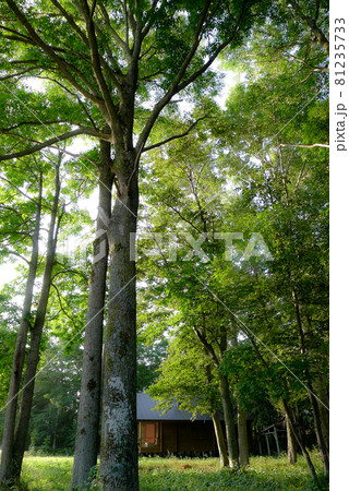 夏ももう終わり、暑かった麓郷 夏ももう終わり、暑かった麓郷 81235733