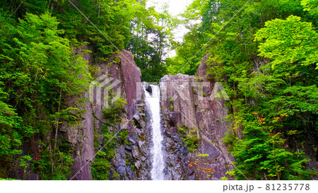 美しい直瀑の癒される高樽の滝 美しい直瀑の癒される高樽の滝 81235778