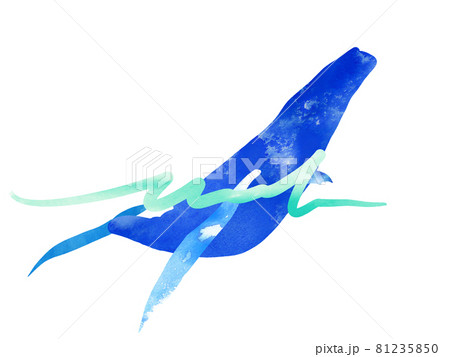 大海原を泳ぐクジラ4 大海原を泳ぐクジラ4 81235850