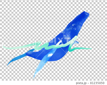 大海原を泳ぐクジラ4 大海原を泳ぐクジラ4 81235850