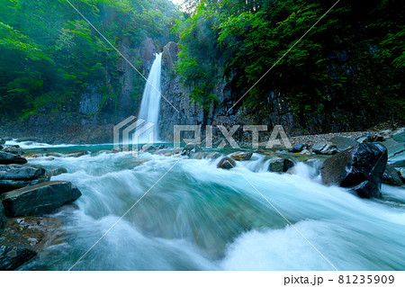 美しい直瀑の癒される高樽の滝 美しい直瀑の癒される高樽の滝 81235909