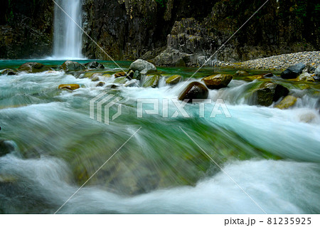 美しい直瀑の癒される高樽の滝 美しい直瀑の癒される高樽の滝 81235925