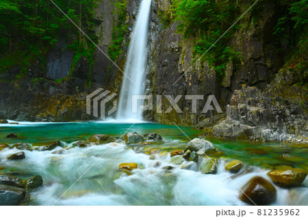 美しい直瀑の癒される高樽の滝 美しい直瀑の癒される高樽の滝 81235962