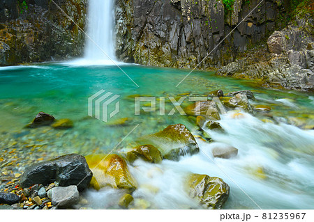美しい直瀑の癒される高樽の滝 美しい直瀑の癒される高樽の滝 81235967