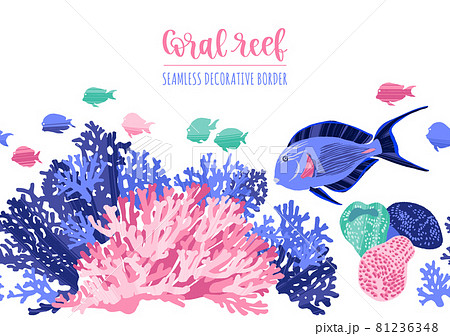 Sea border pattern with tropical fishes and corals. 81236348