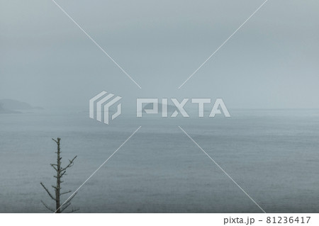 宮城県気仙沼市　海　絶景　景色　半島からの景色　Ogama Hanzo巨釜半造 81236417