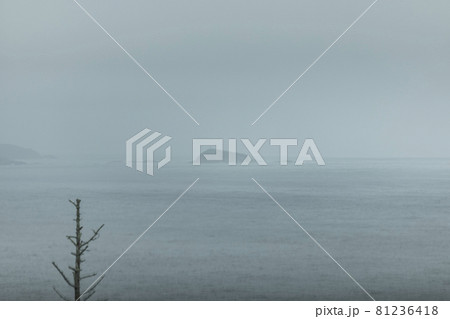 宮城県気仙沼市　海　絶景　景色　半島からの景色　Ogama Hanzo巨釜半造 81236418