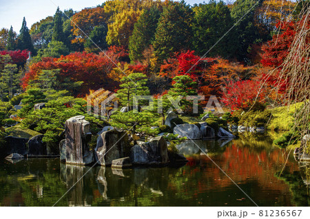 広島県三原市三景園の紅葉 庭園の池と松と紅葉の写真素材