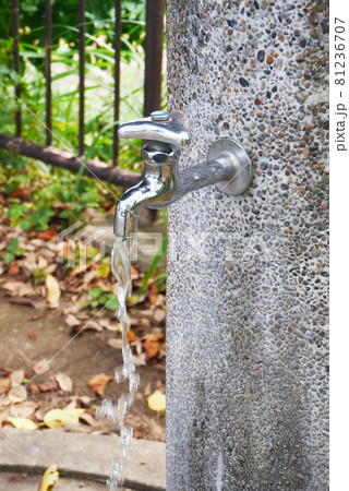 公園の水道 81236707