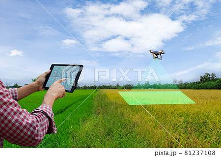 A farmer holds a tablet to inspect agricultural produce unmanned aerial vehicle 81237108