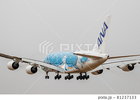 成田空港に着陸する旅客機・A380 81237133