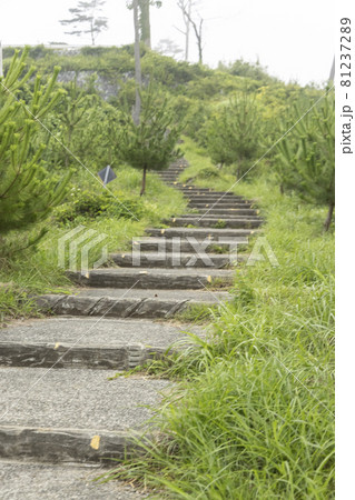 公園の階段 宮城県気仙沼市 公園の階段 宮城県気仙沼市 81237289