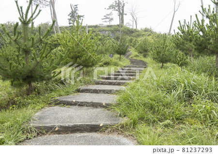 公園の階段　宮城県気仙沼市 81237293