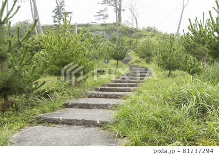 公園の階段 宮城県気仙沼市 公園の階段 宮城県気仙沼市 81237294