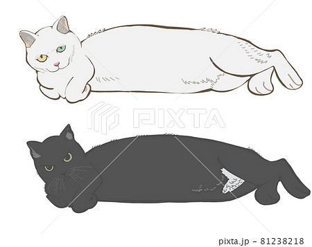胴長キャット1 胴長キャット1 81238218