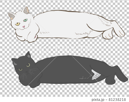 胴長キャット1 胴長キャット1 81238218