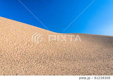 《鳥取県》早朝の静かな鳥取砂丘 81238309