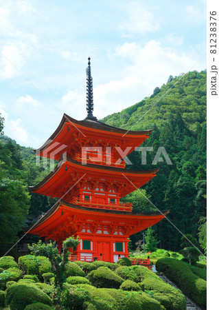 国指定重要文化財の長福寺三重塔と夏の空 岡山県美作市 国指定重要文化財の長福寺三重塔と夏の空 岡山県美作市 81238376