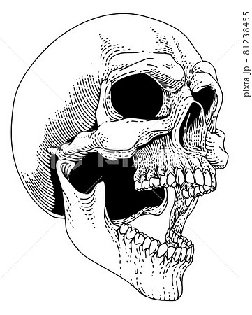 Screaming Skull Vintage Woodcut Etching Engraving Screaming Skull Vintage Woodcut Etching Engraving 81238455