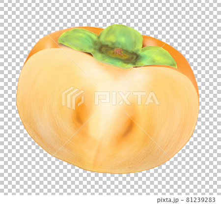 カットされた柿のカラーイラスト 81239283