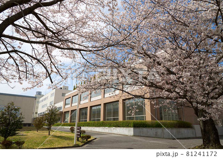 帝京大学宇都宮キャンパス 2021春 帝京大学宇都宮キャンパス 2021春 81241172