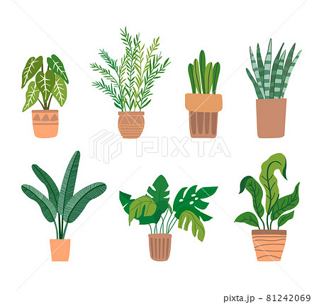 植物 工場 プランツのイラスト素材