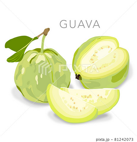 グアバ 切る フルーツ 81242073