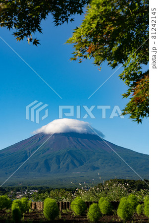 【山梨県】　富士山　河口湖 81242145