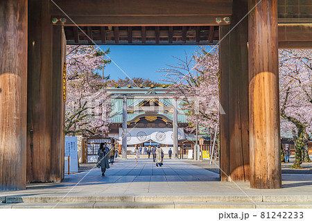 日本の春 靖国神社と桜の風景 81242233