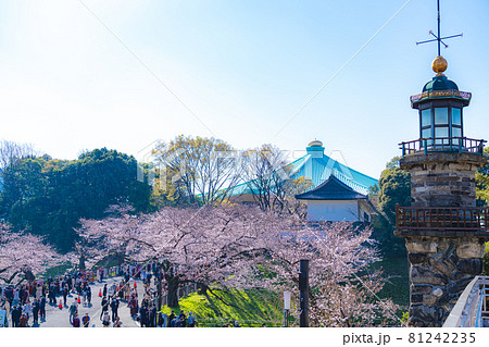 日本の春 靖国神社と桜の風景 日本の春 靖国神社と桜の風景 81242235