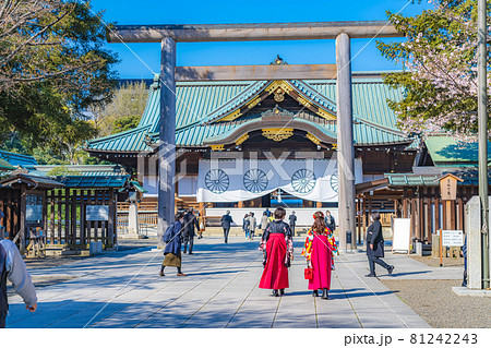 日本の春 靖国神社と桜の風景 81242243