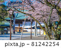 日本の春 靖国神社と桜の風景 81242254