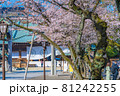 日本の春 靖国神社と桜の風景 81242255