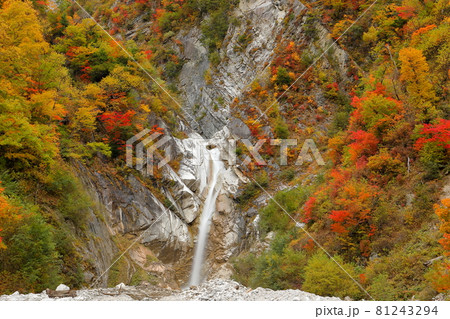 長野県大町市平高瀬入　高瀬ダム調整湖そばの濁沢の滝と紅葉 81243294