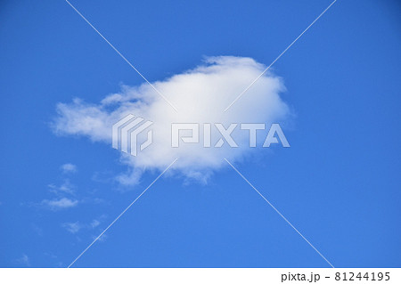 フグの様な面白い浮雲 きれいな浮雲 アートな浮雲 フグの様な面白い浮雲 きれいな浮雲 アートな浮雲 81244195