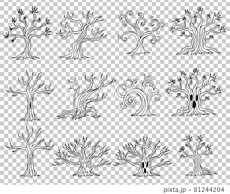 樹線描圖 81244204