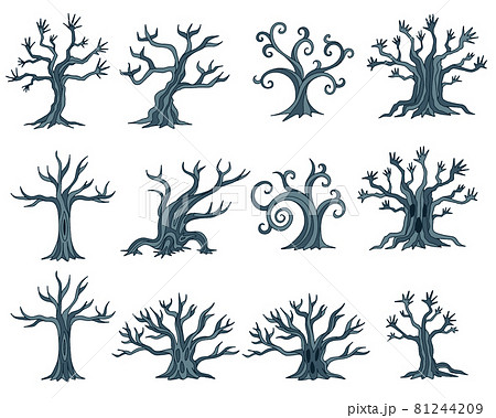 木のカラーイラスト 81244209