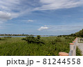 新潟の晩夏の空 81244558