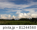 新潟の晩夏の空 81244560