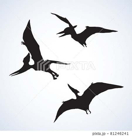 Pterodactyl Dinosaur Silhouette Vector PNG, Dinosaur Pterodactyl  Silhouette, Dinosaur, Flying Dragon, Pterosaur PNG Image For Free Download