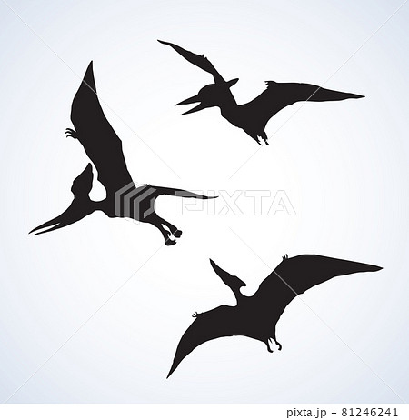 Nature Landscape with Prehistoric Dinosaurs Stock Vector - Illustration of  pterodactyloidea, current: 134138579