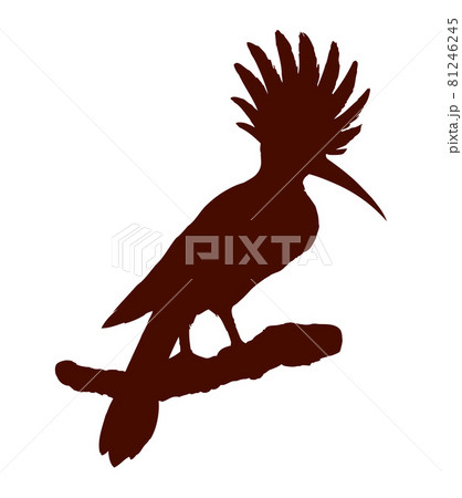 Bird. Vector drawing 81246245