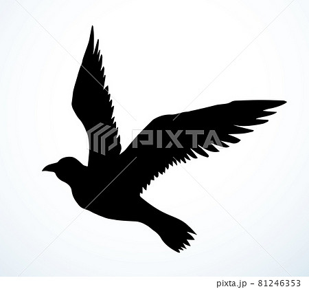 Bird in flight. Vector drawing 81246353