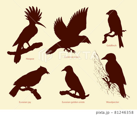 Bords_Big 51.eps 81246358