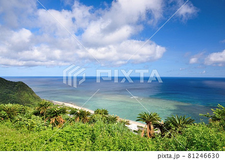 奄美大島 今井崎から見る安木屋場の海 奄美大島 今井崎から見る安木屋場の海 81246630