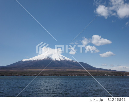 河口湖畔から望む富士 河口湖畔から望む富士 81246841