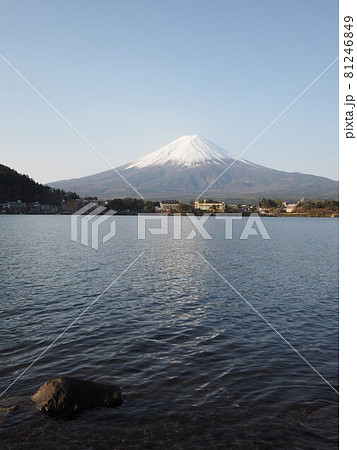 河口湖畔から望む富士 81246849