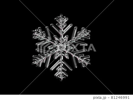 黒背景の雪の結晶 黒背景の雪の結晶 81246991